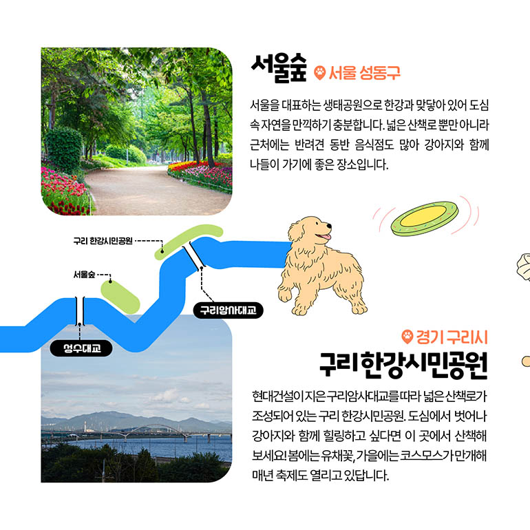 서울숲, 구리한강시민공원 서울숲 서울 성동구 서울을 대표하는 생태공원으로 한강과 맞닿아 있어 도심 속 자연을 만끽하기 충분합니다. 넓은 산책로 뿐만 아니라 근처에는 반려견 동반 음식점도 많아 강아지와 함께 나들이 가기에 좋은 장소입니다. 경기 구리시 구리한강시민공원 현대건설이 지은 구리암사대교를 따라 넓은 산책로가 조성되어 있는 구리 한강시민공원. 도심에서 벗어나 강아지와 함께 힐링하고 싶다면 이 곳에서 산책해보세요! 봄에는 유채꽃, 가을에는 코스모스가 마개해 매년 축제도 열리고 있답니다.